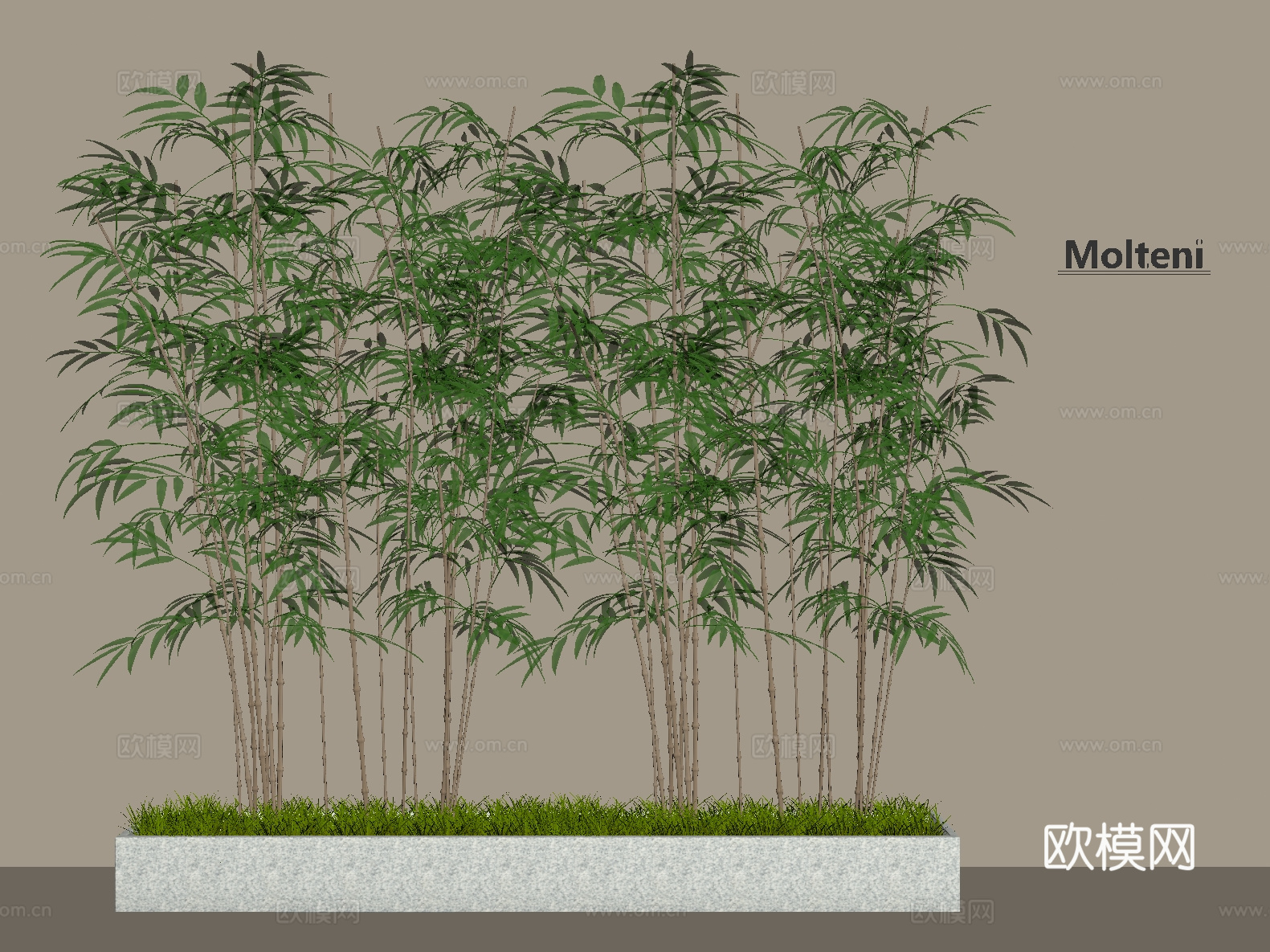 竹子 竹林 景观林su模型