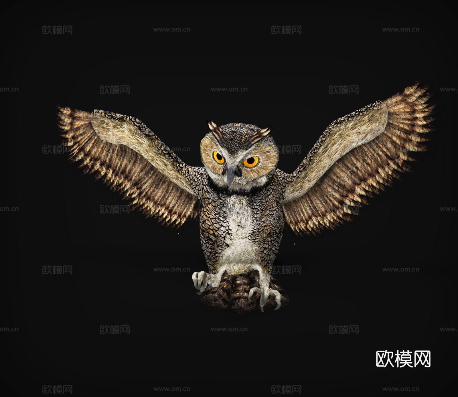 猫头鹰  鹰  夜行猫头鹰 展翅飞翔3d模型
