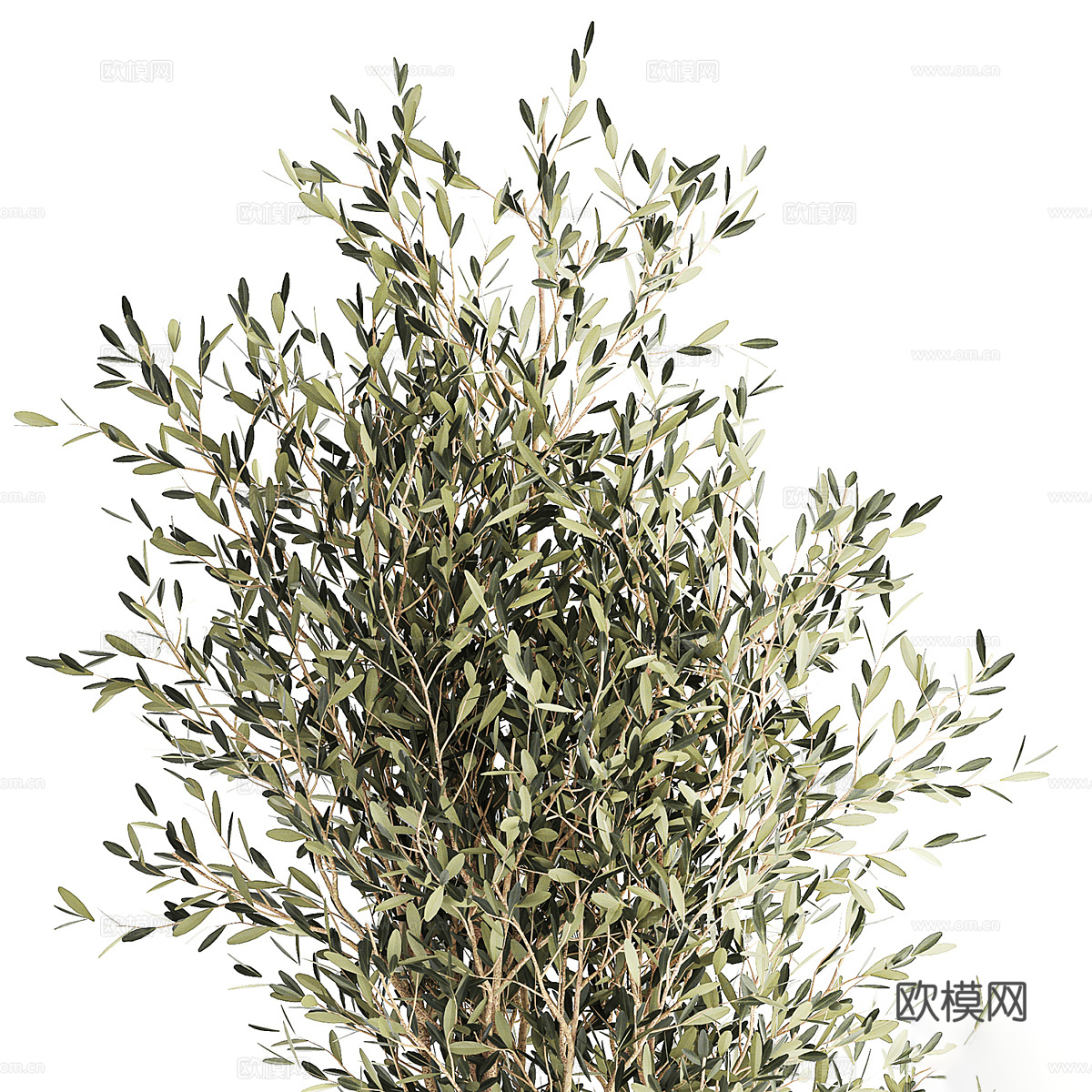 新中式侘寂绿植盆栽3d模型