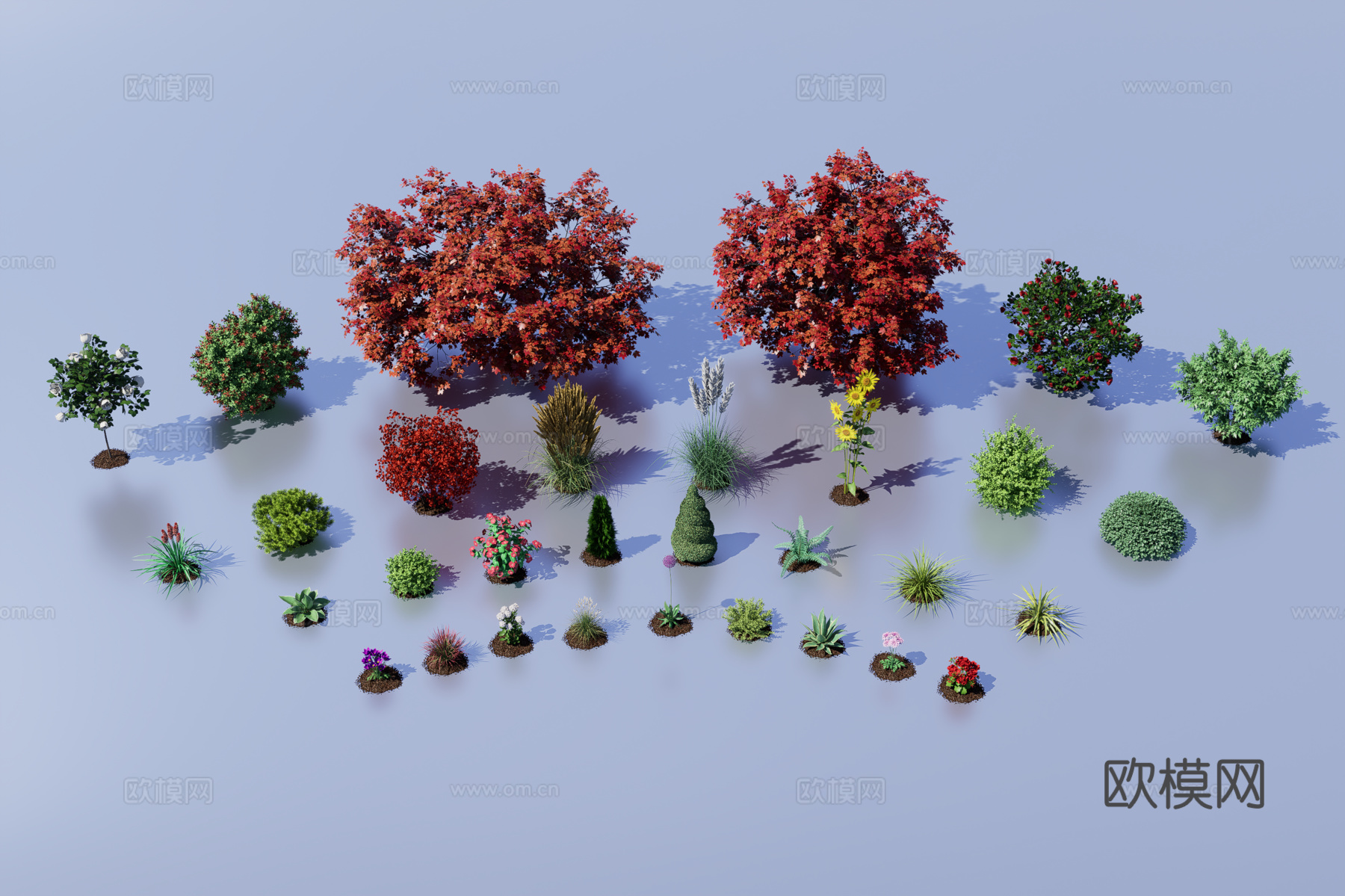 园艺植物3d模型