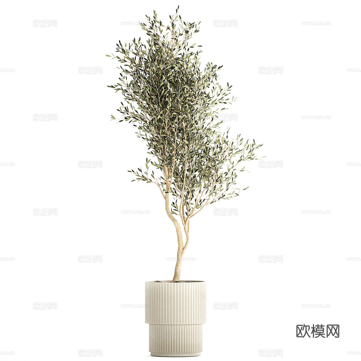 新中式侘寂绿植盆栽3d模型