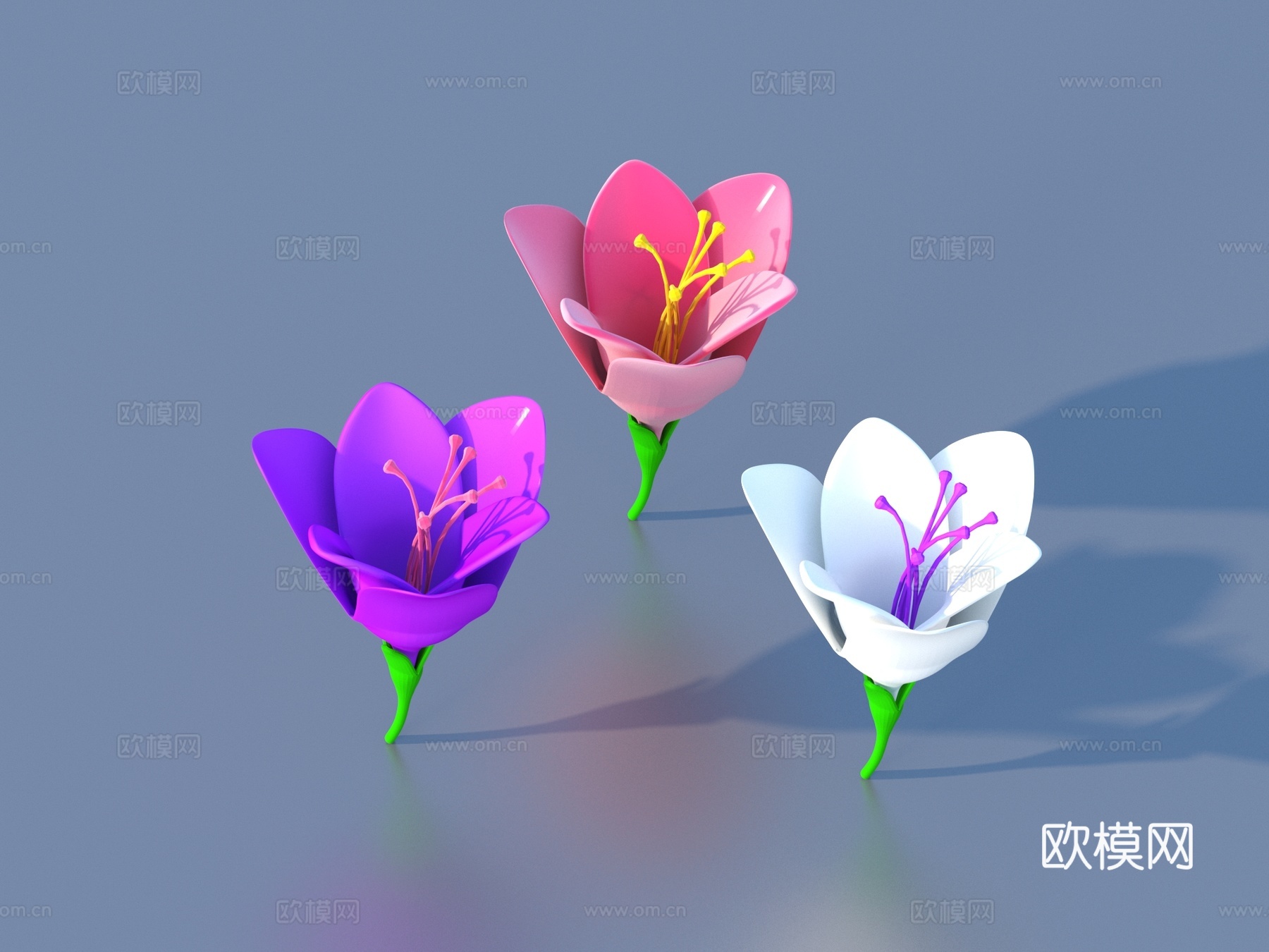 花 卡通花 野花 绿植 花朵3d模型