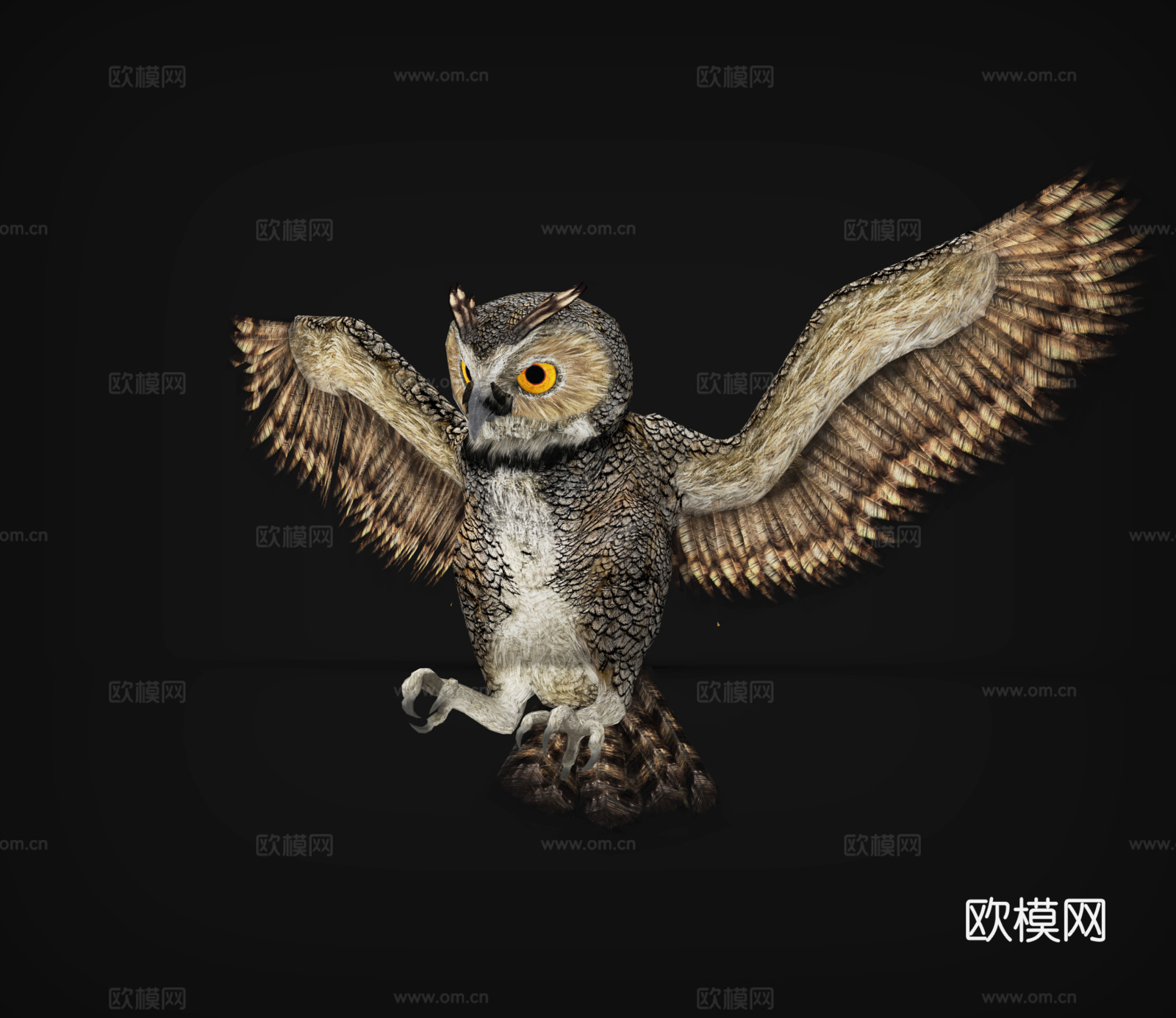 猫头鹰  鹰  夜行猫头鹰 展翅飞翔3d模型