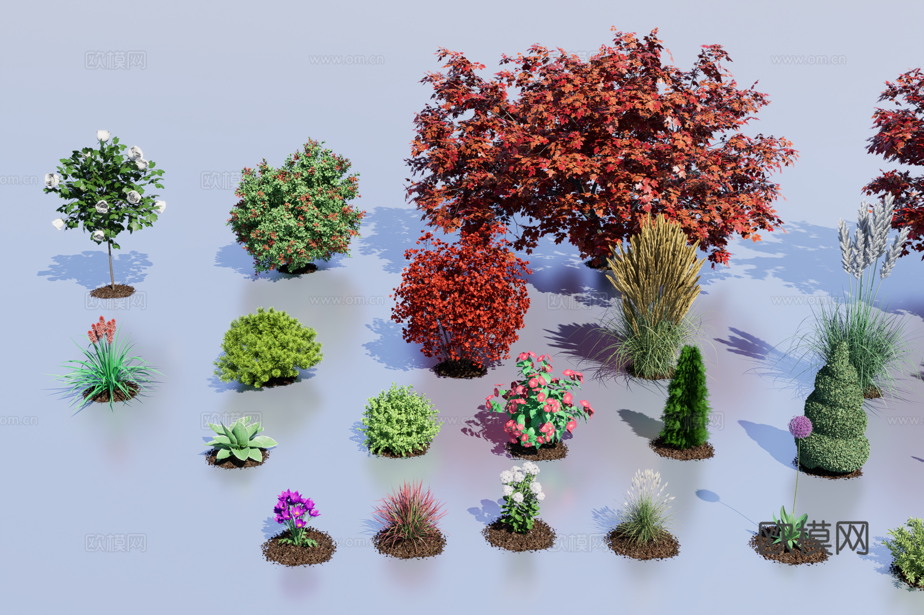 园艺植物3d模型