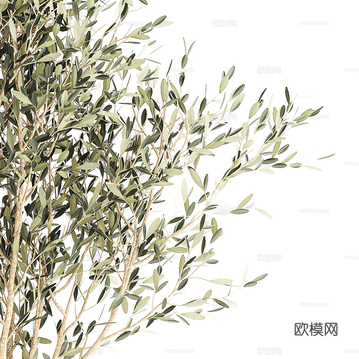 新中式侘寂绿植盆栽3d模型