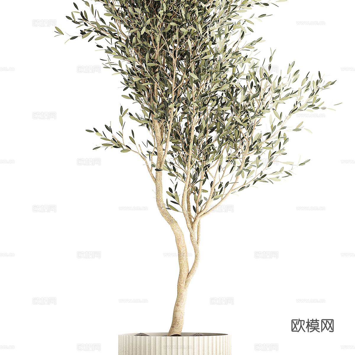 新中式侘寂绿植盆栽3d模型