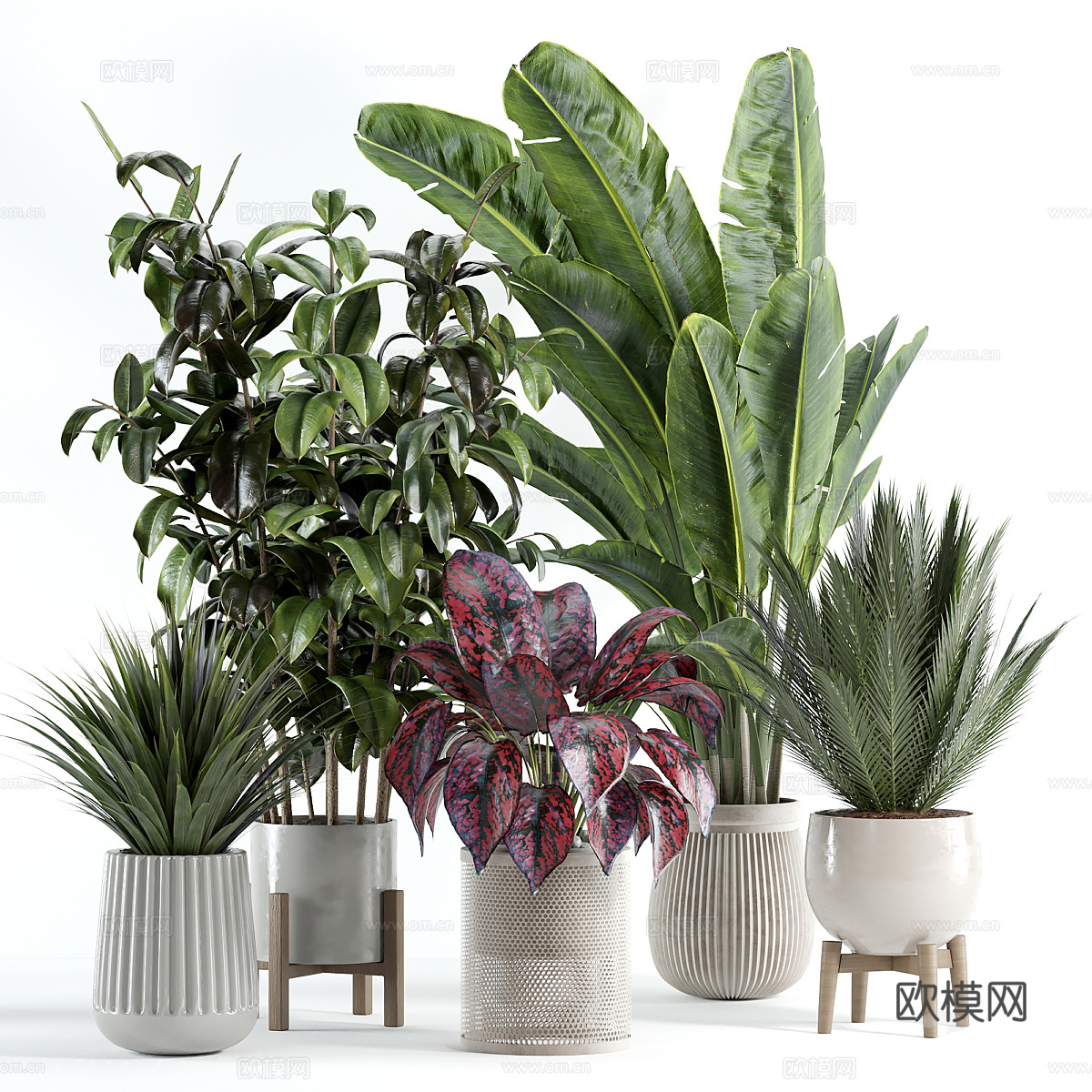 现代奶油风绿植盆栽3d模型
