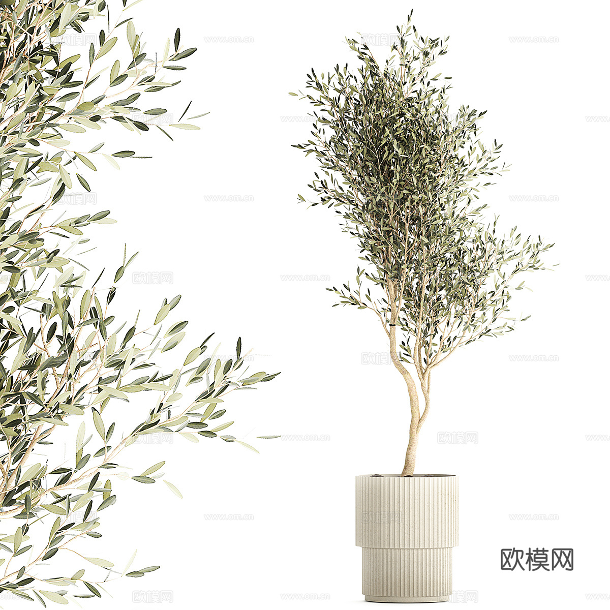 新中式侘寂绿植盆栽3d模型