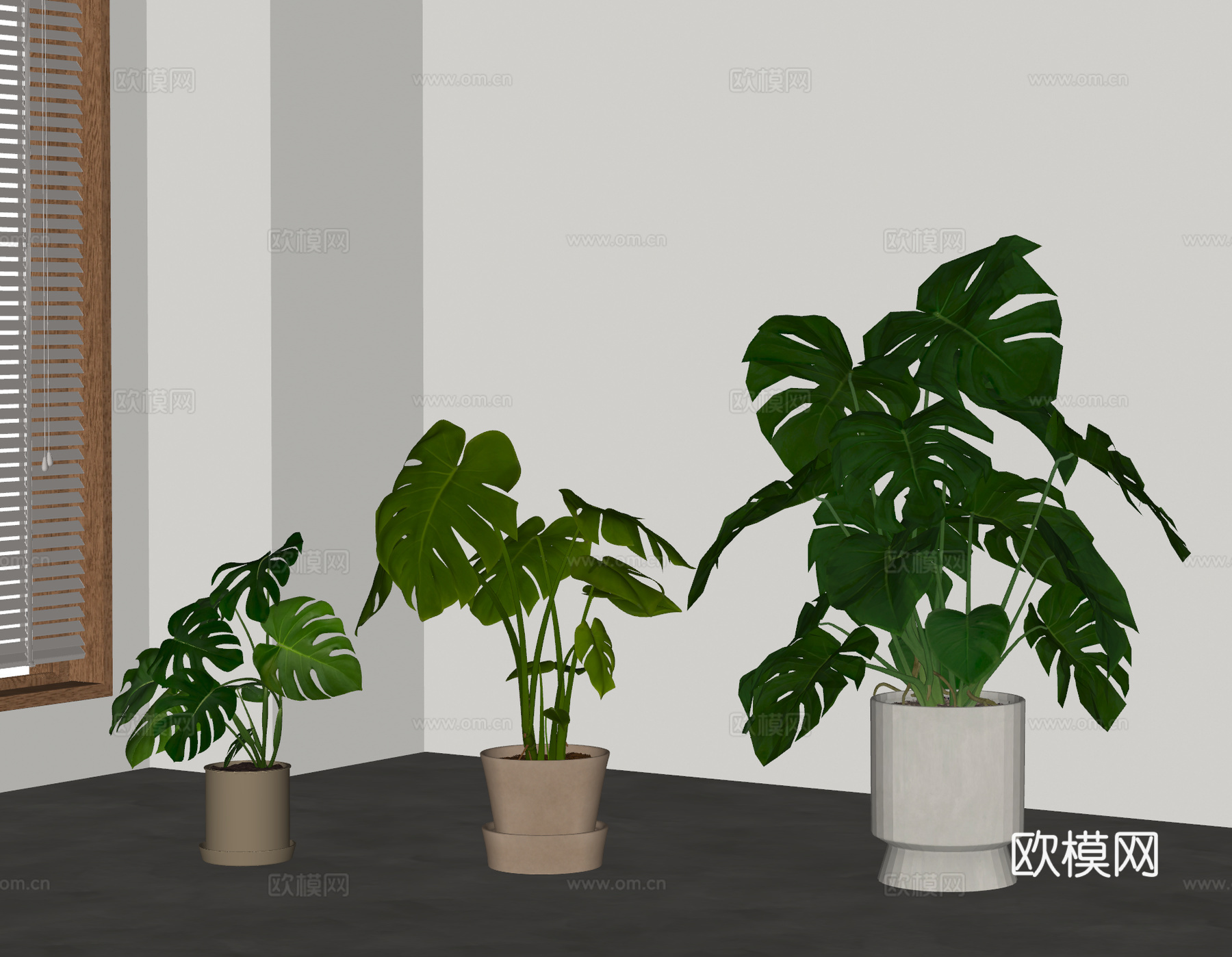 现代盆栽植物 绿植 盆景 龟背竹 植物摆件su模型