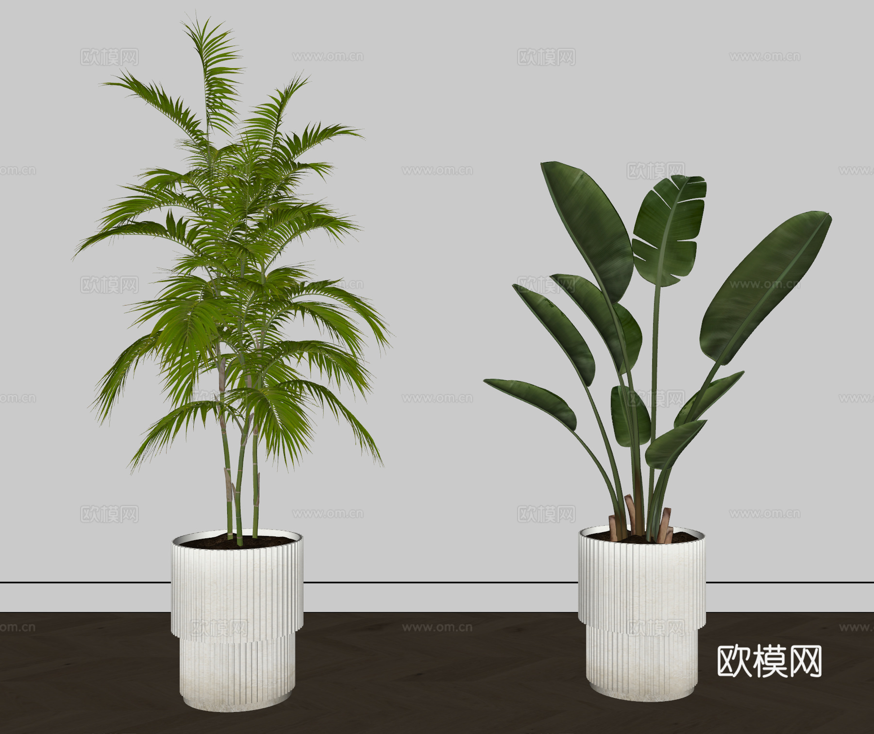 现代盆栽植物 绿植 盆景su模型