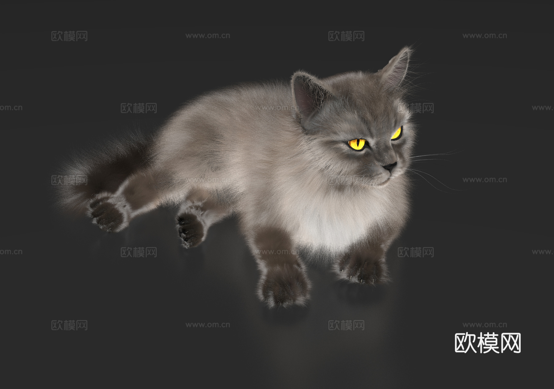 猫咪 猫 动物 宠物3d模型