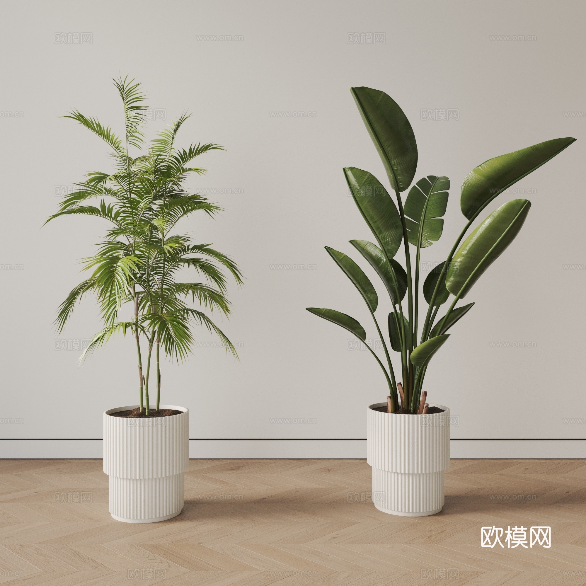 现代盆栽植物 绿植 盆景su模型