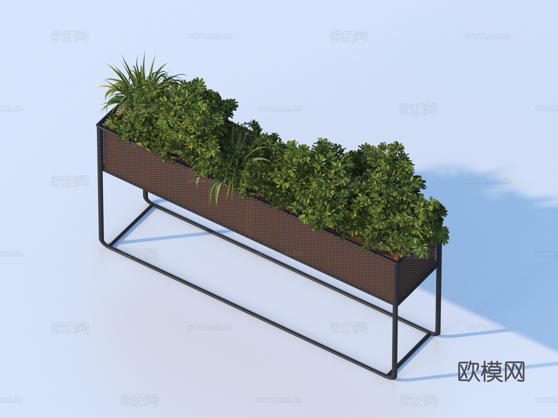 盆栽 植物盆栽3d模型