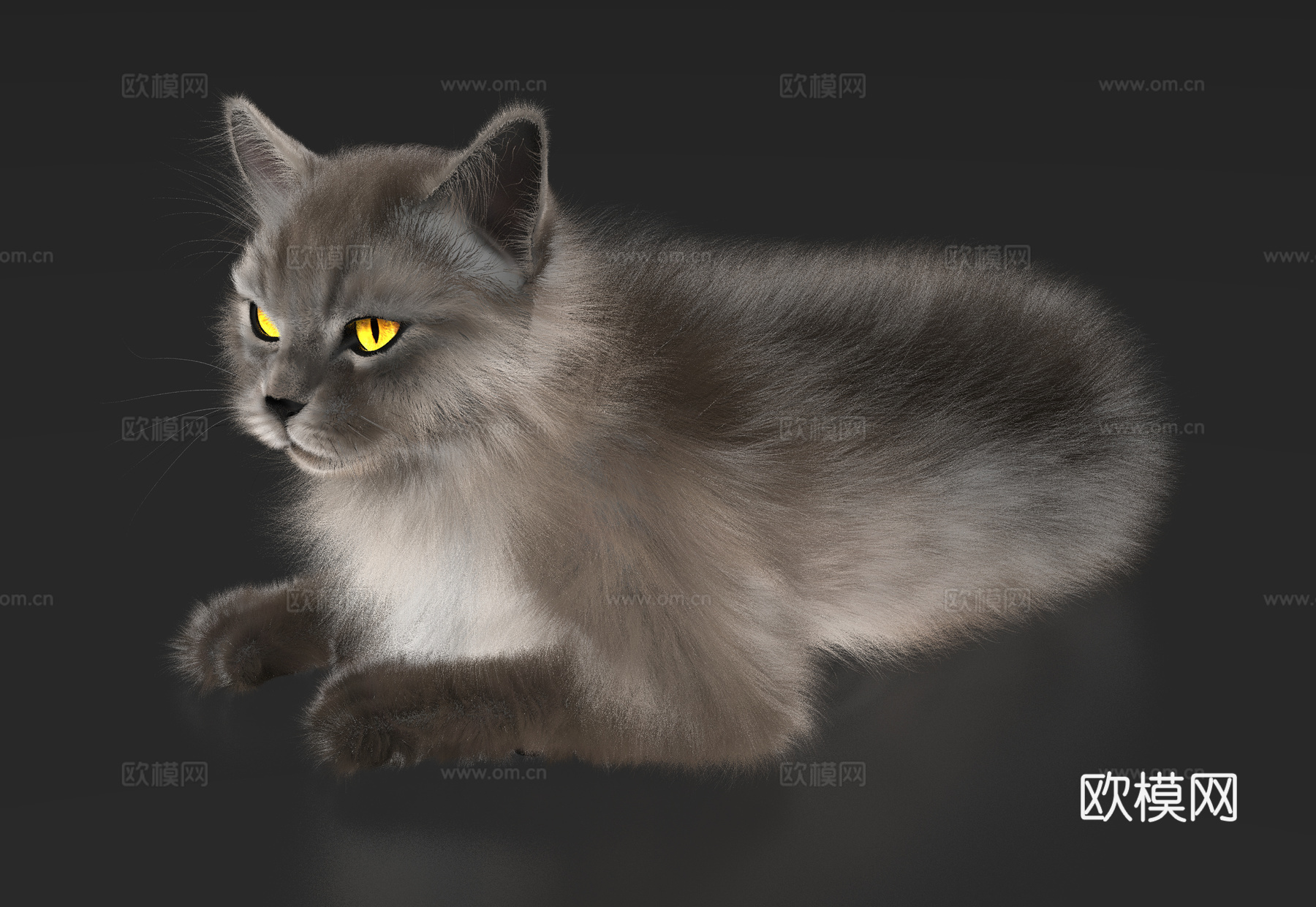 猫咪 猫 动物 宠物3d模型