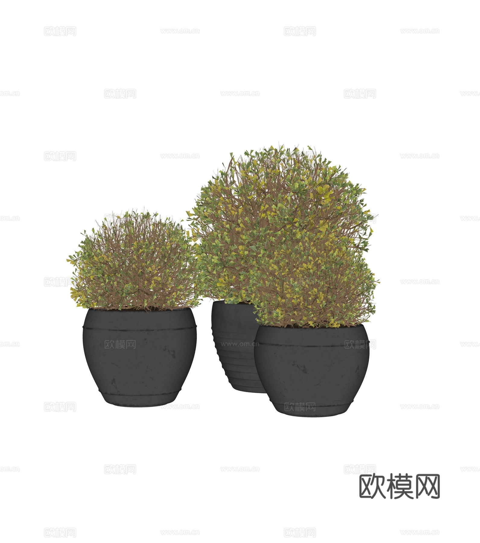 现代绿植盆栽su模型