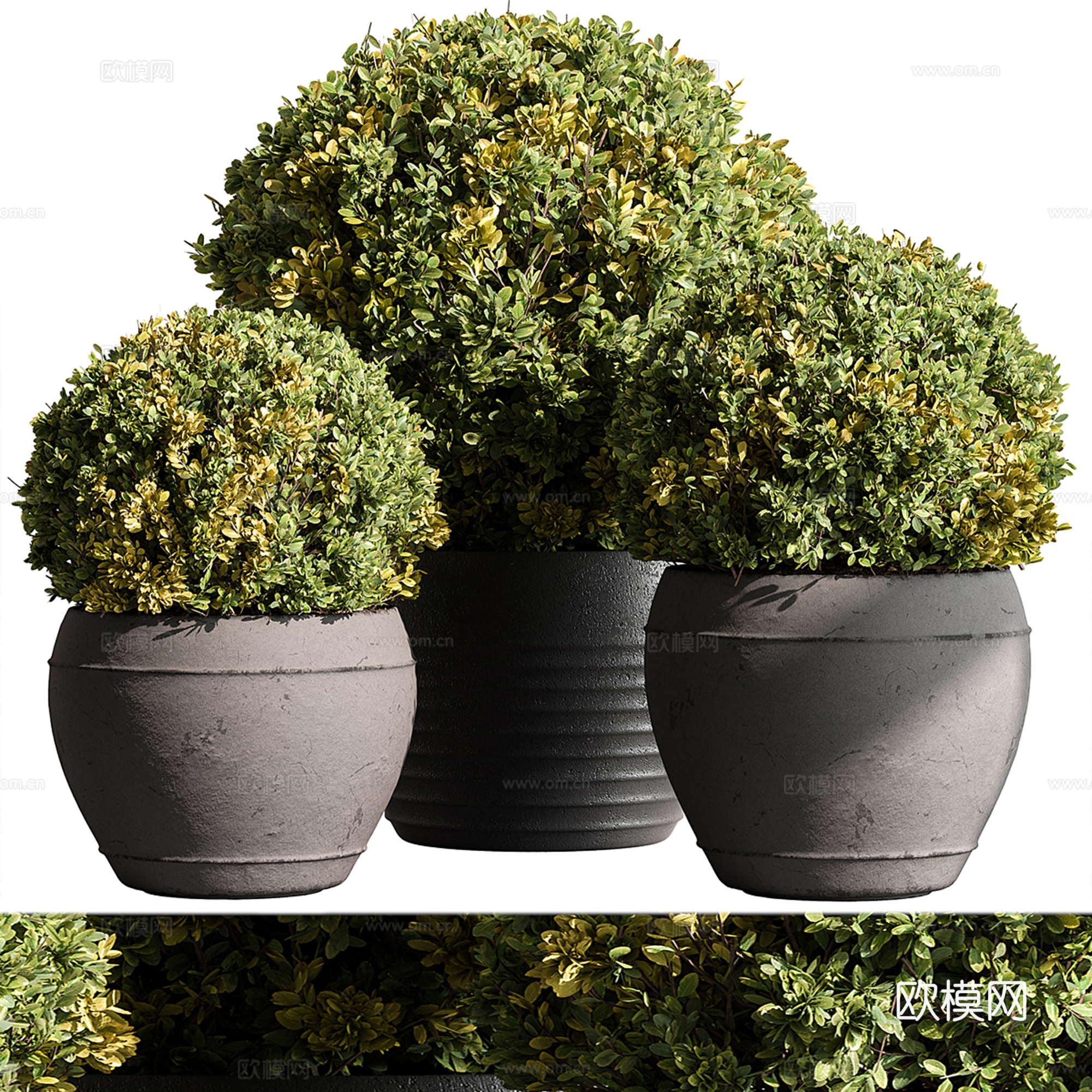 现代绿植盆栽su模型