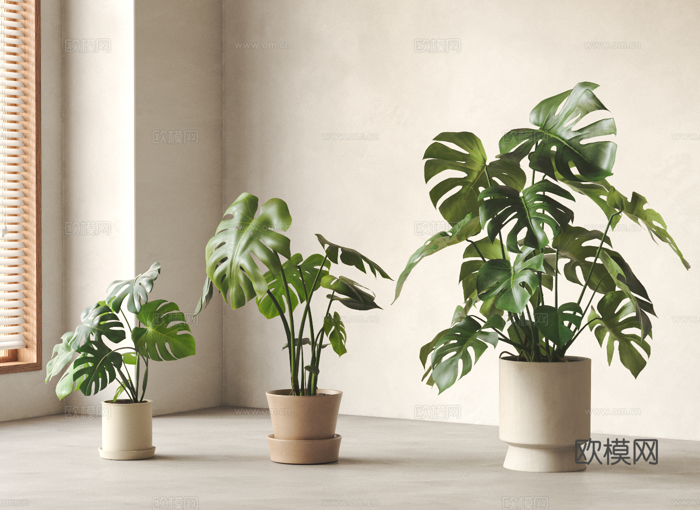 现代盆栽植物 绿植 盆景 龟背竹 植物摆件3d模型