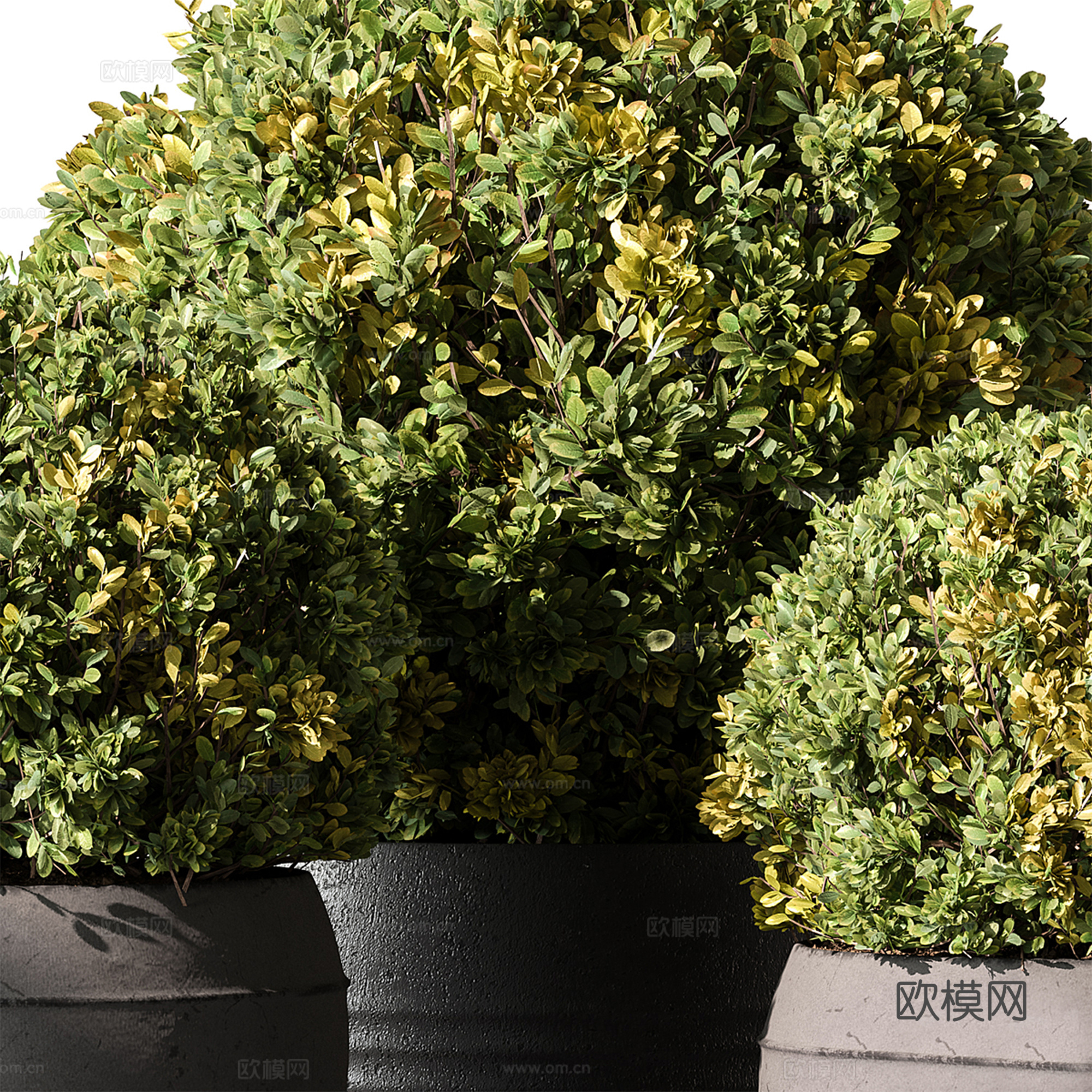 现代绿植盆栽su模型