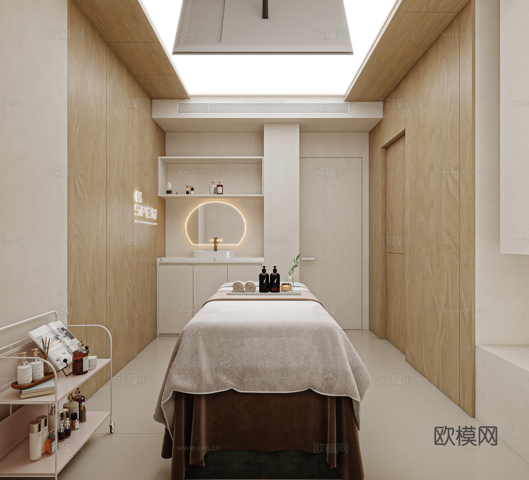 美容院SPA  美容包厢3d模型