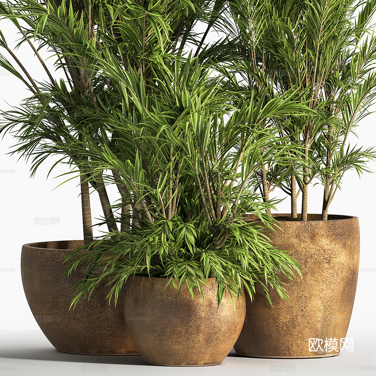新中式侘寂绿植盆栽3d模型