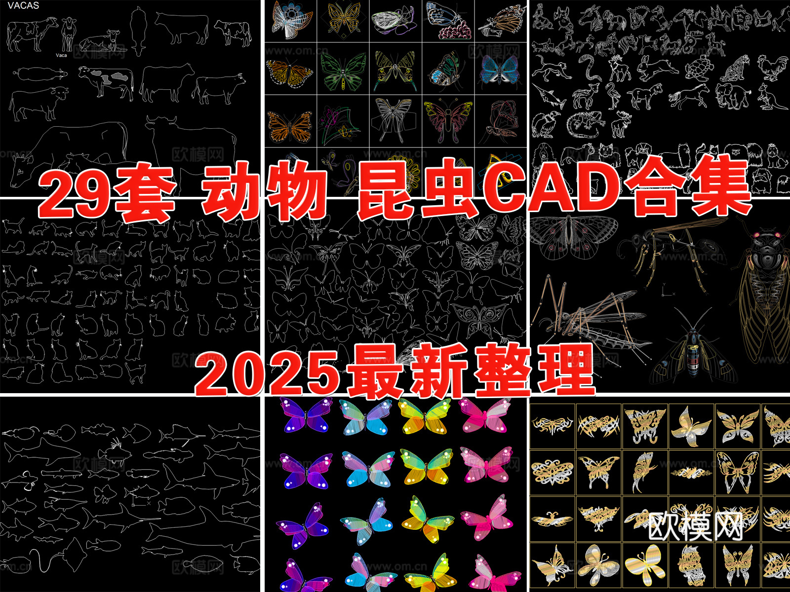 动物 昆虫 鸟类 家禽 鱼类 宠物cad施工图