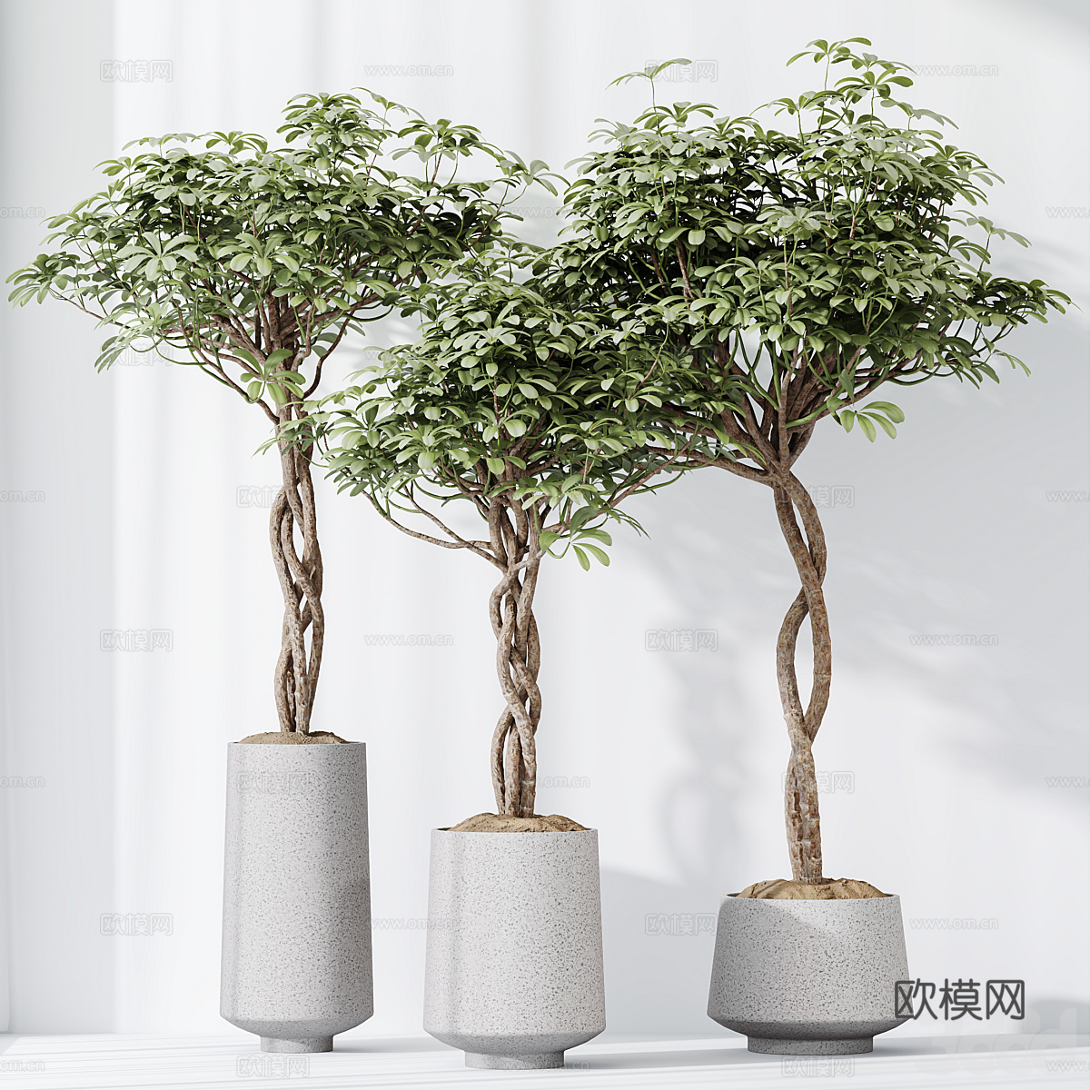新中式侘寂绿植盆栽3d模型
