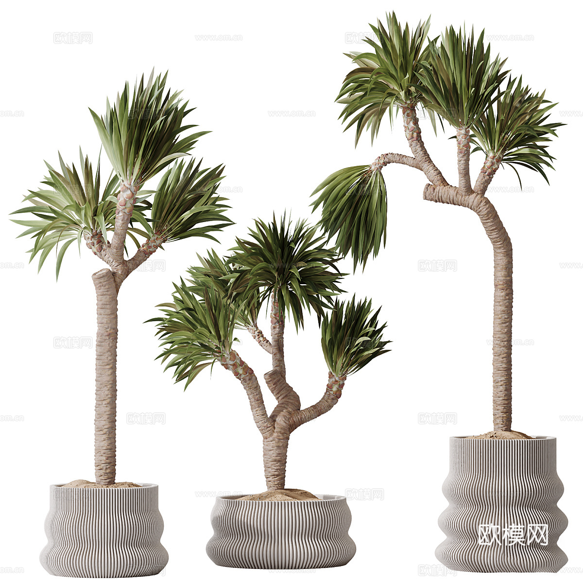 现代侘寂绿植盆栽3d模型