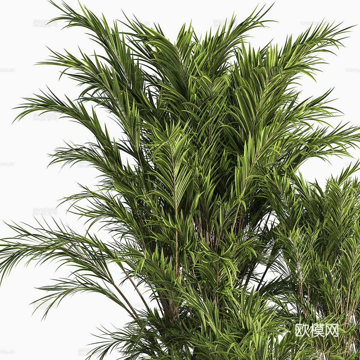 新中式侘寂绿植盆栽3d模型
