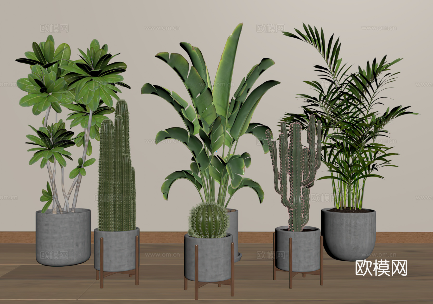 现代植物盆栽su模型