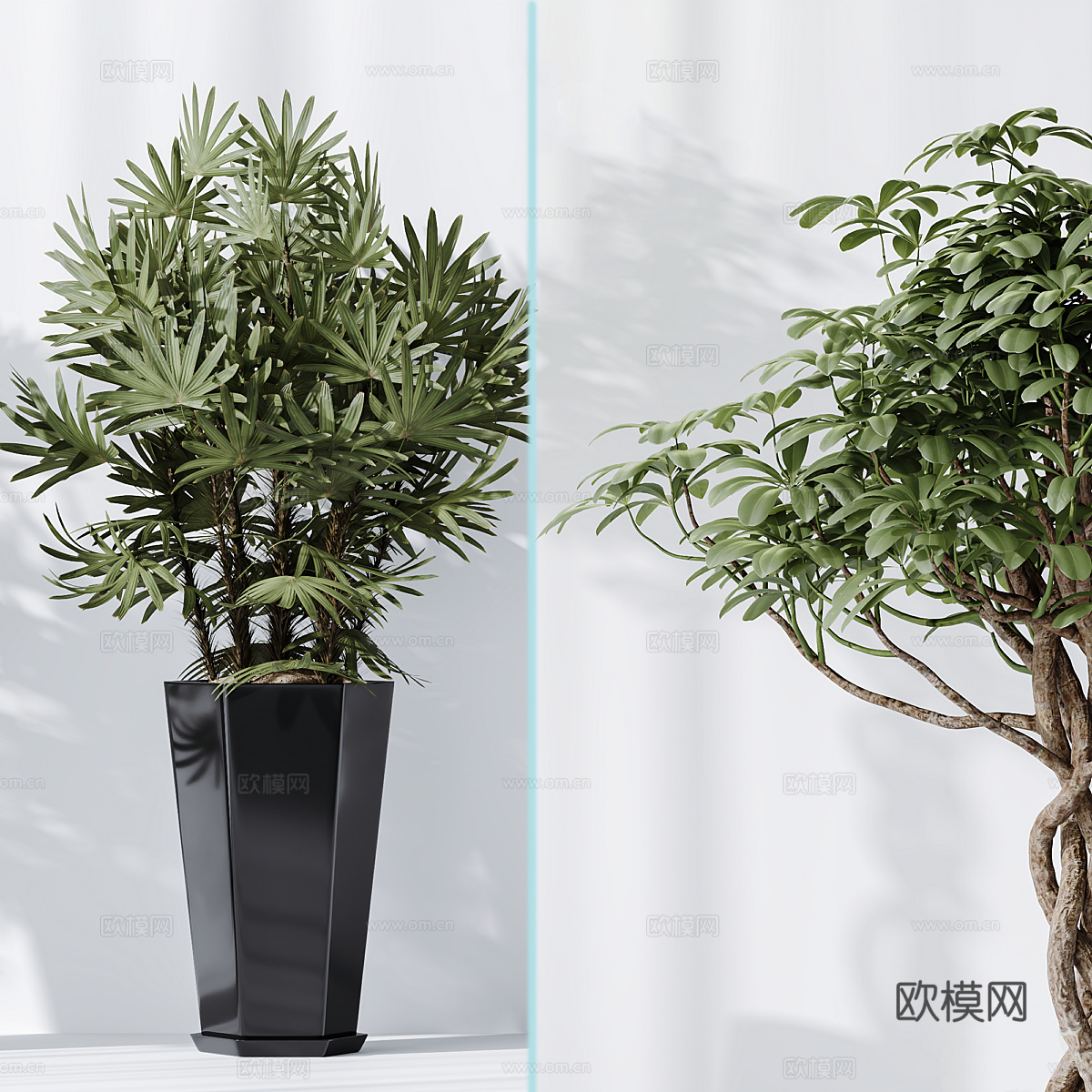 现代绿植盆栽3d模型