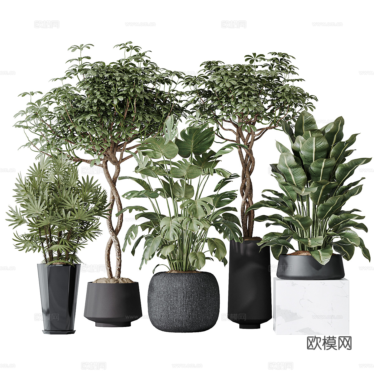现代绿植盆栽3d模型