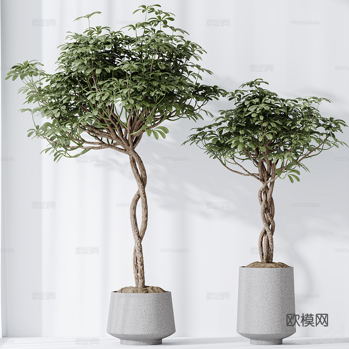 新中式侘寂绿植盆栽3d模型