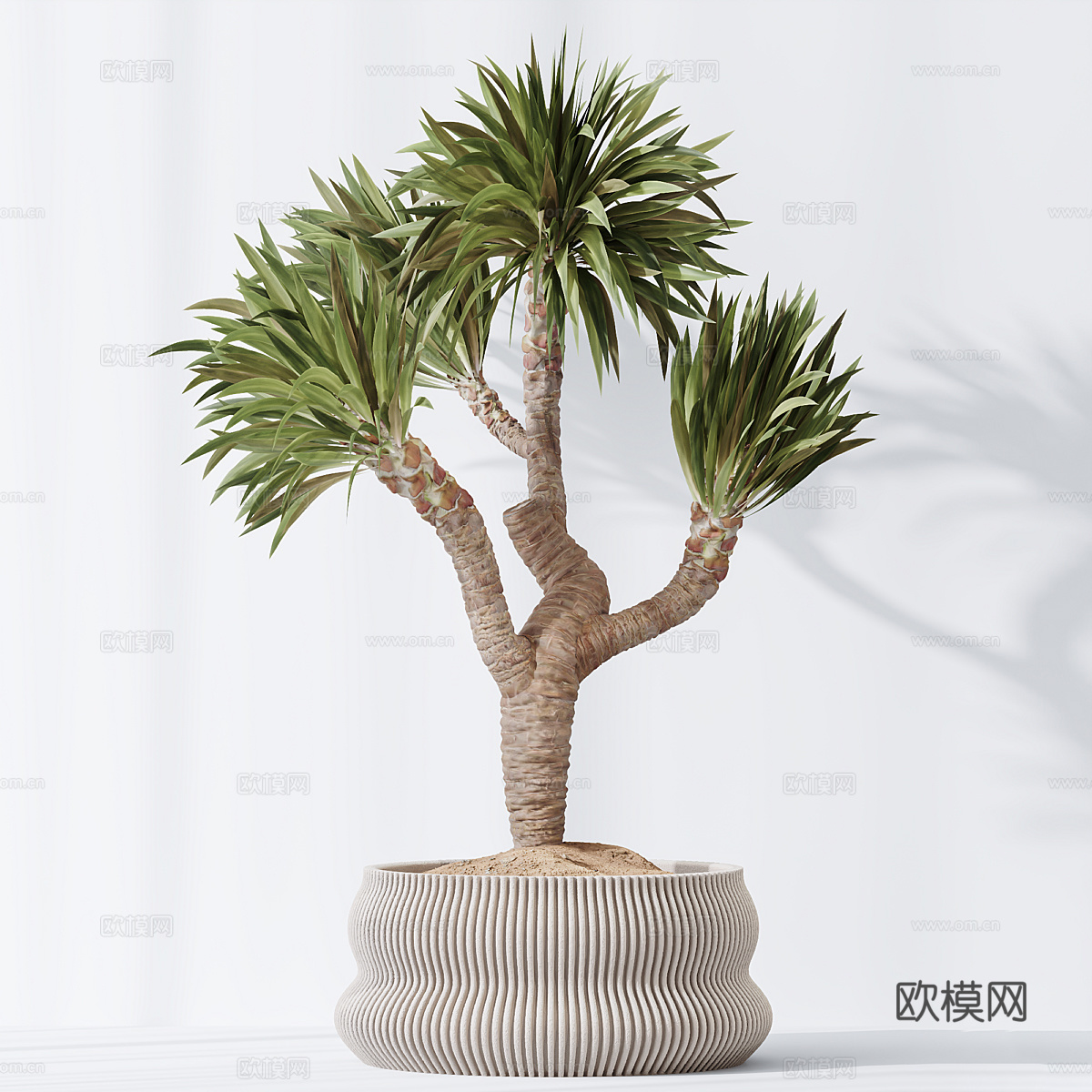 现代侘寂绿植盆栽3d模型