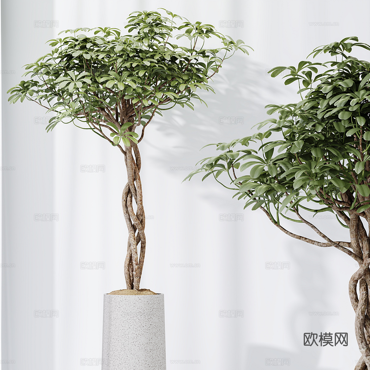 新中式侘寂绿植盆栽3d模型