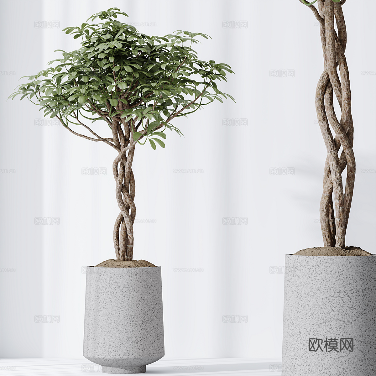 新中式侘寂绿植盆栽3d模型