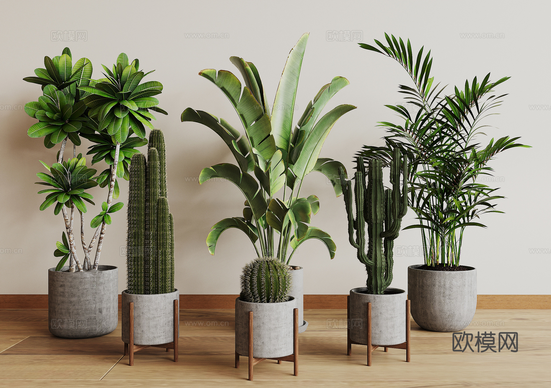 现代植物盆栽3d模型