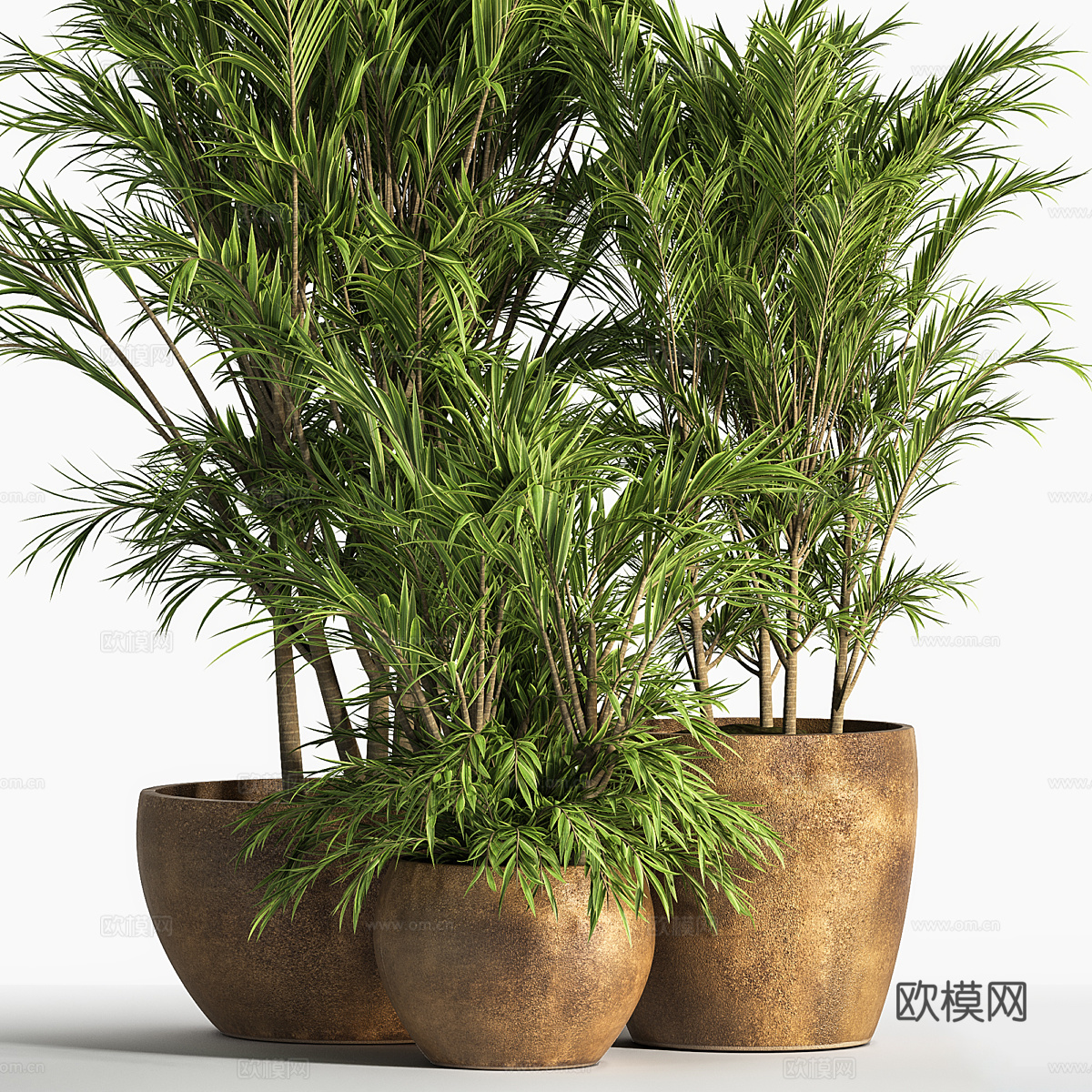 新中式侘寂绿植盆栽3d模型