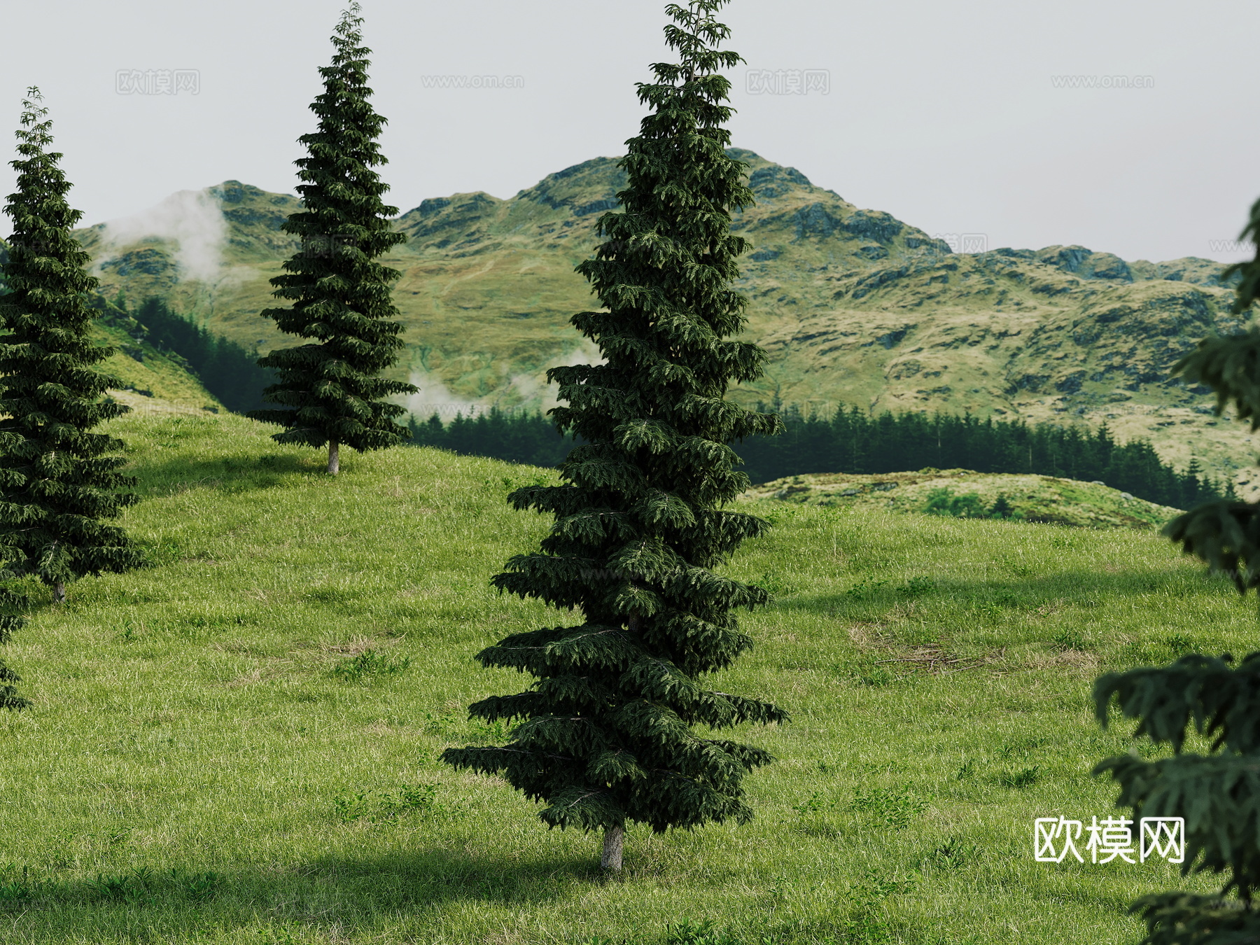 山地景观绿色草地山林风光户外小山坡3d模型