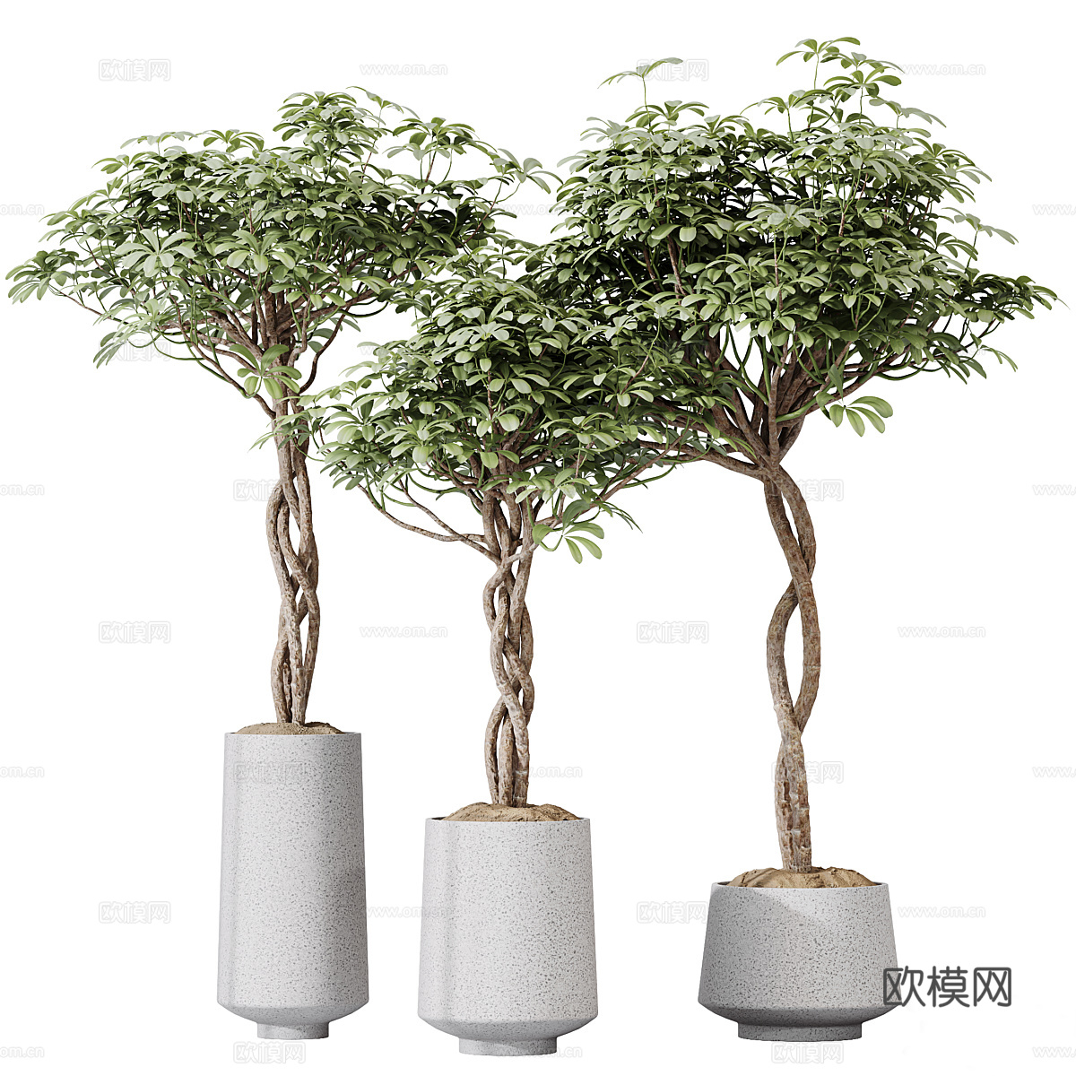 新中式侘寂绿植盆栽3d模型
