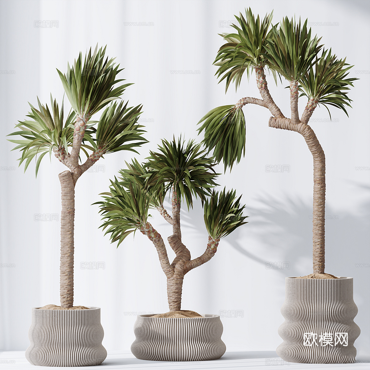 现代侘寂绿植盆栽3d模型