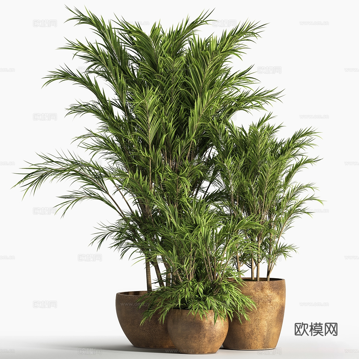 新中式侘寂绿植盆栽3d模型