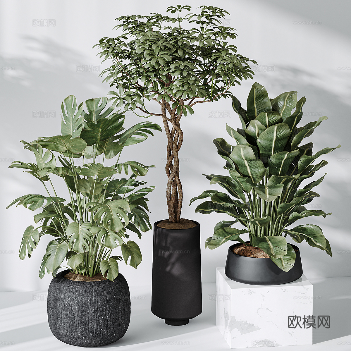 现代绿植盆栽3d模型