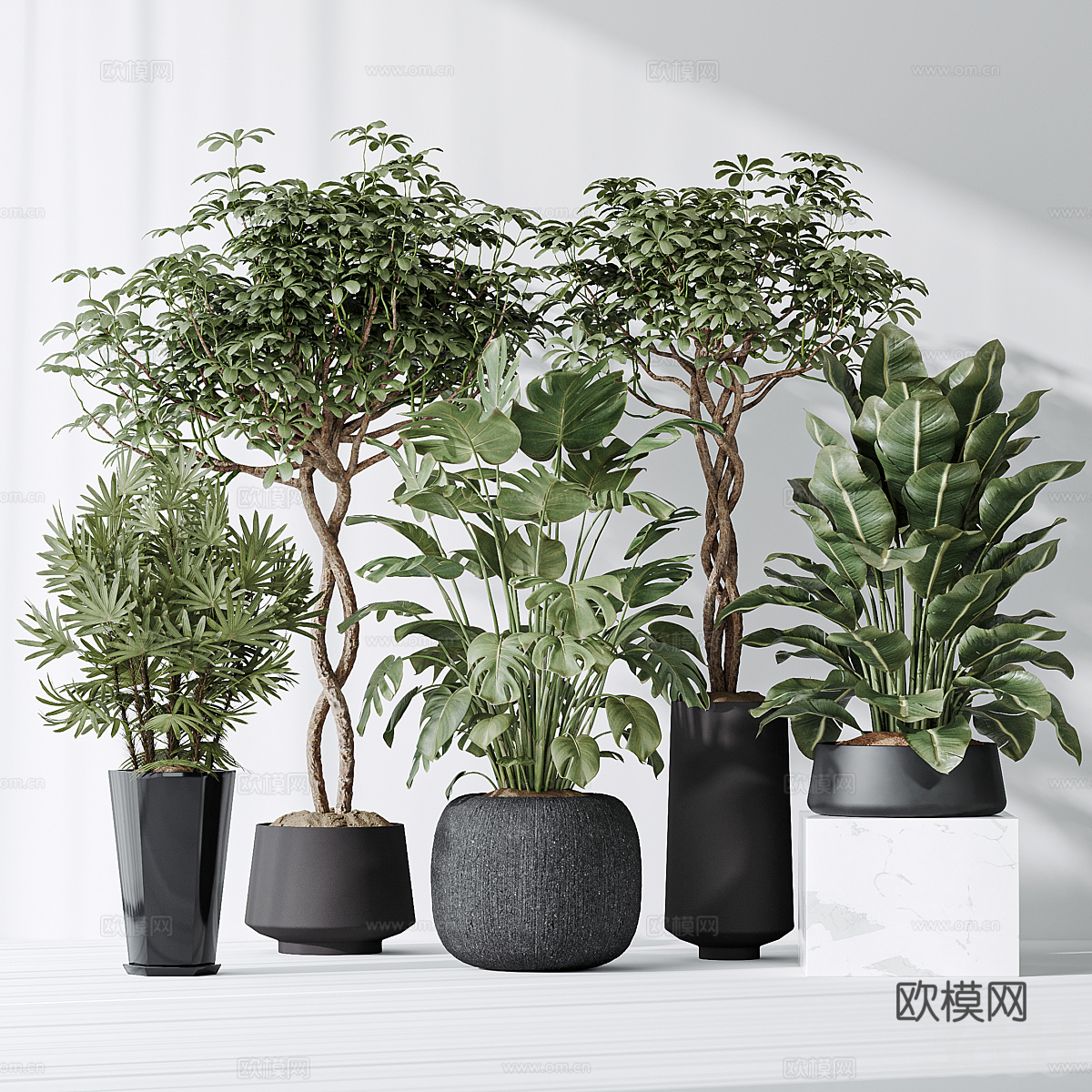 现代绿植盆栽3d模型