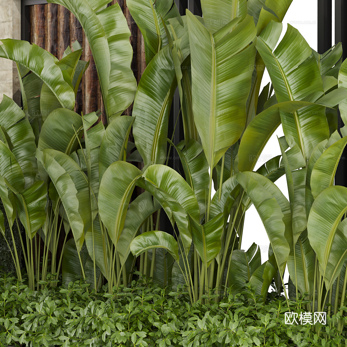 现代绿植植物堆3d模型