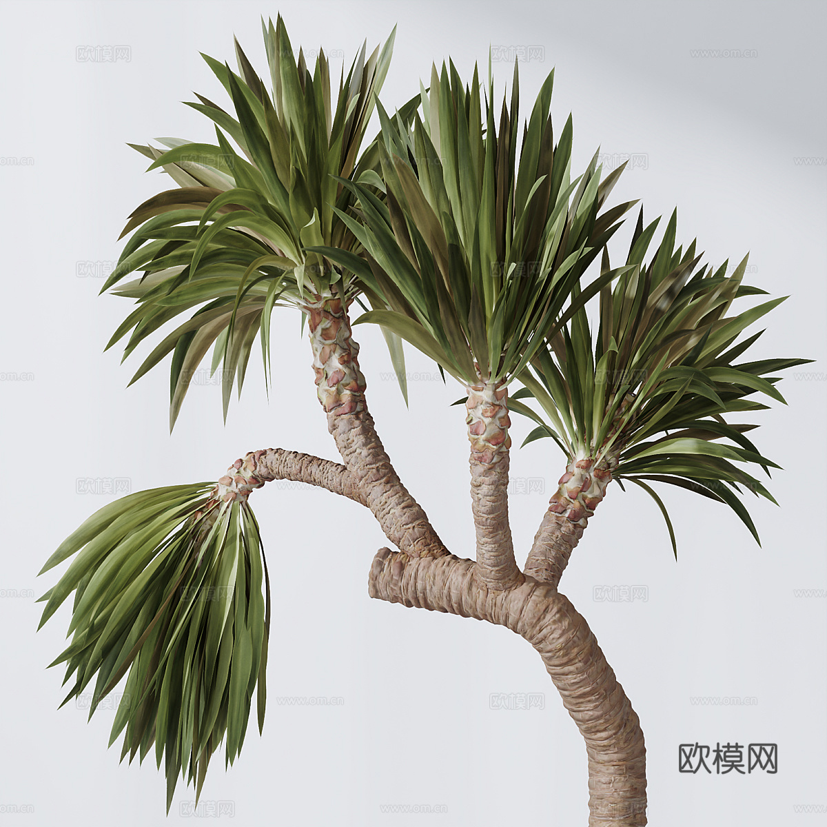 现代侘寂绿植盆栽3d模型