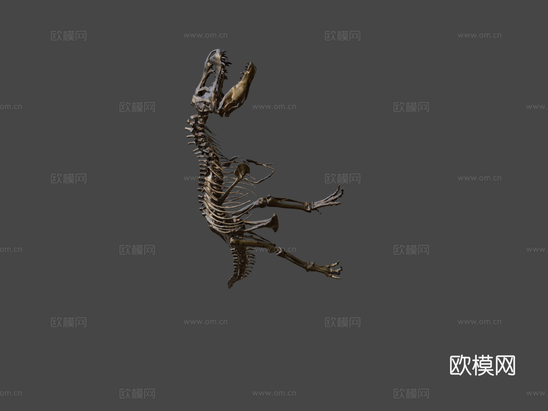 霸王龙骨架3d模型