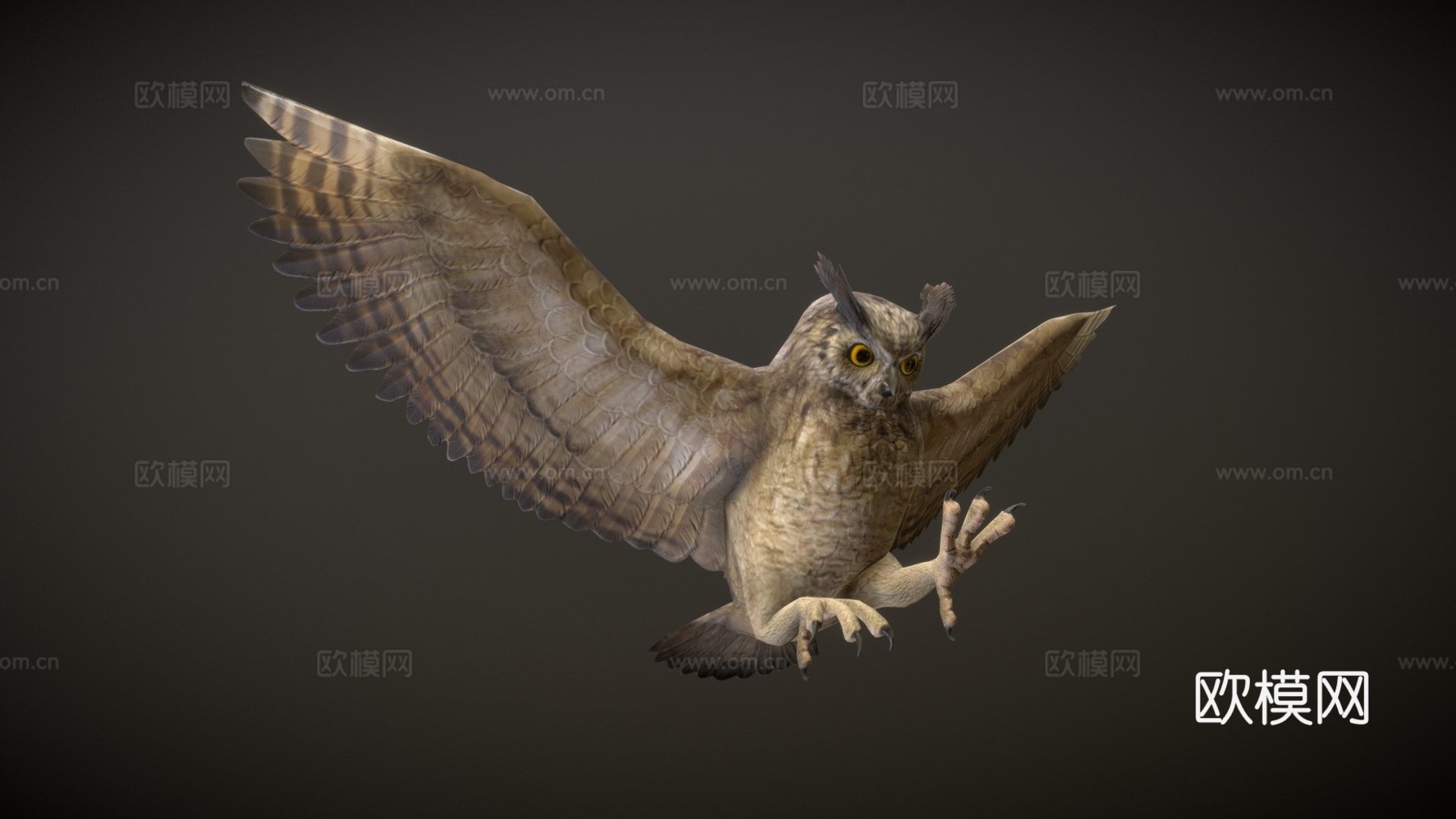 大角鸮动画3d模型