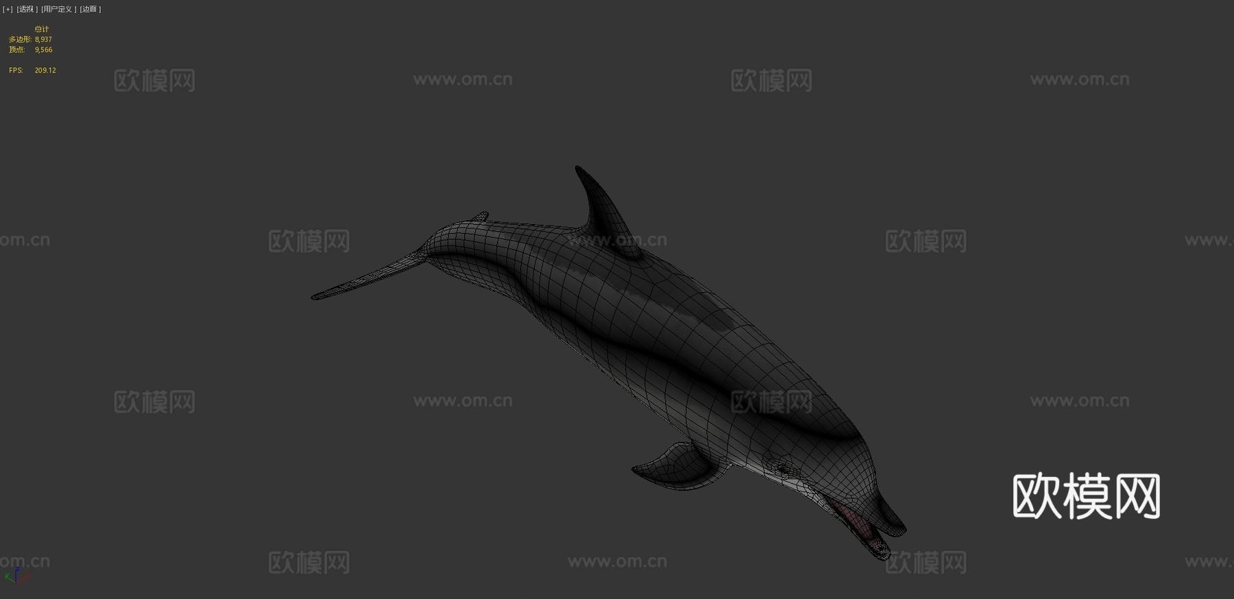 海豚3d模型