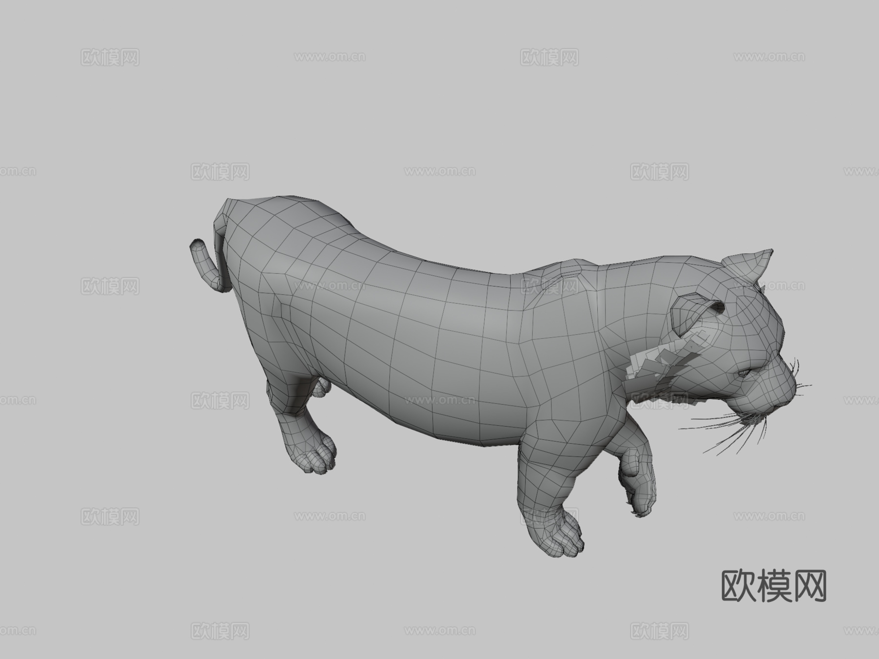 孟加拉虎3d模型