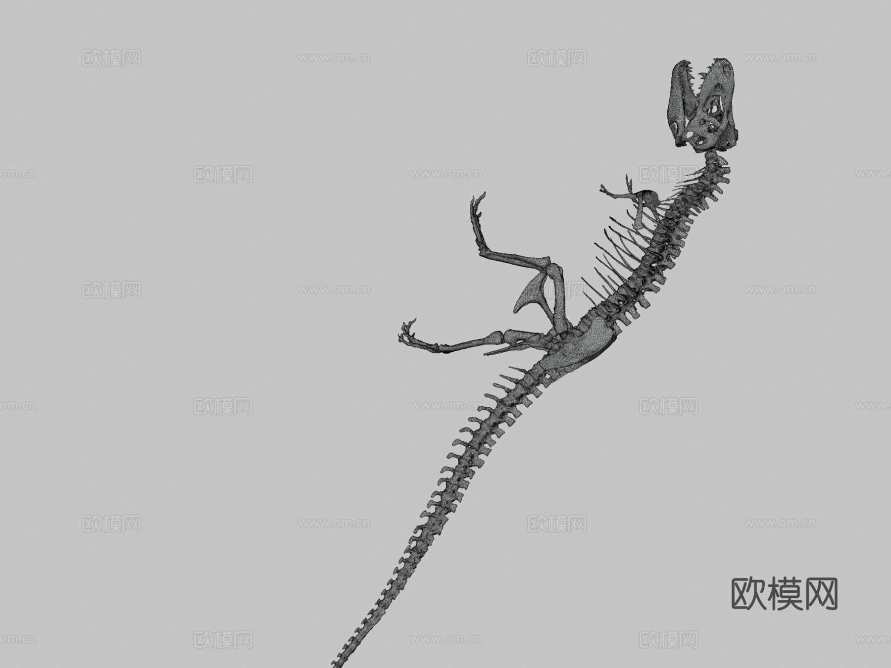 霸王龙骨架3d模型